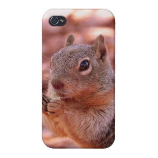 Squirrel fearless iPhone 4 case