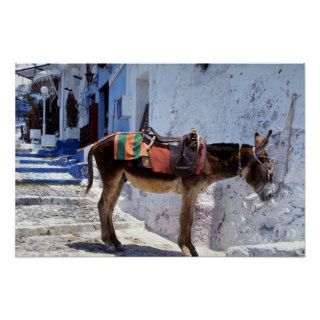 Donkey, Fira Santorini, Greece Print