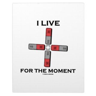 I Live For The Moment (Magnetic Quadrupole Moment) Plaques