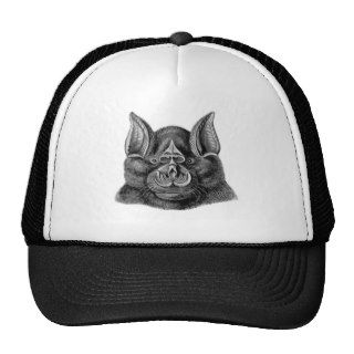 Greater Horseshoe Bat Hat