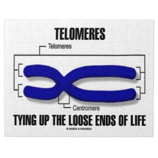 Telomeres Tying Up The Loose Ends Of Life Jigsaw Puzzle
