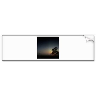 Nature Trees Into The Night Bumper Stickers
