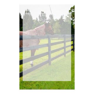 Horse looking down fence path custom stationery