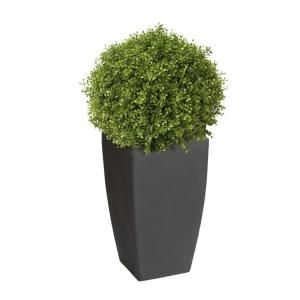 Algreen Madison 20 in. Plastic Planter with 12 in. Pot Insert 84306