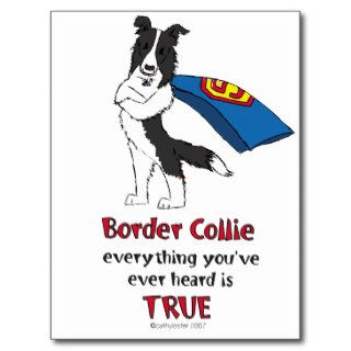 Super Border Collie Black Postcards