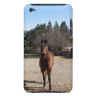 Brown Horse in Los Alamos, CA iPod Case Mate Case