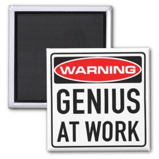 Genius At Work Funny Warning Road Sign Magnets