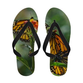 Monarch Butterfly flip flops sandal Fashion