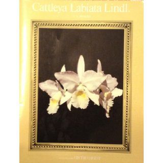 Cattleya labiata Lindl L. C Menezes Books