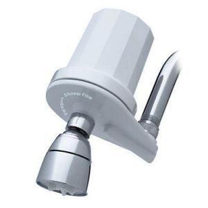 Paragon Water Systems Shower Water Filter P2201
