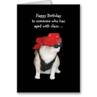 Funny Biker Cat Birthday Greeting Card