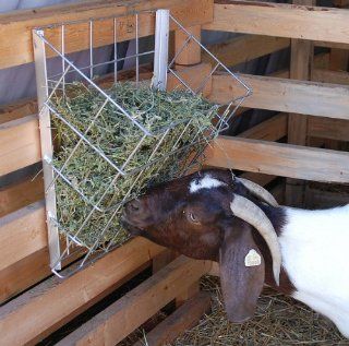 Metal Hay Basket For Goats  Horse Care Equipment  Sports & Outdoors