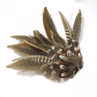 Extra Large Brown Peasant Feather Hair Clip  Beauty