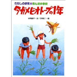 Research my 10 year of school Lethocerus deyrollei biotope of rice field (my research (10)) (2002) ISBN 4036347004 [Japanese Import] Ichikawa Ken flat 9784036347001 Books