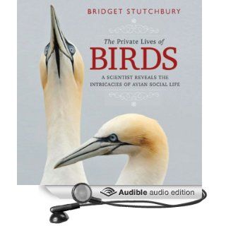The Private Lives of Birds A Scientist Reveals the Intricacies of Avian Social Life (Audible Audio Edition) Bridget Stutchbury, Mary Kane Books