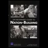 Beginners Guide to Nation Building