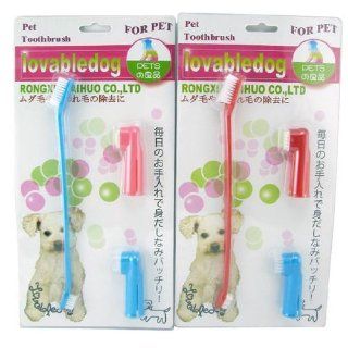 Portable Pet Toothbrush with Replacement Heads colors Blue  Sports Electronics And Gadgets  Sports & Outdoors