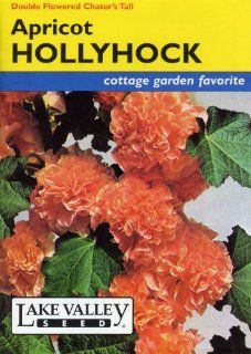 Lake Valley 675 Hollyhock Apricot Chater'S Double Seed Packet  Flowering Plants  Patio, Lawn & Garden
