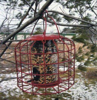 Squirrel Resistant Bird Feeder  Wild Bird Feeders  Patio, Lawn & Garden