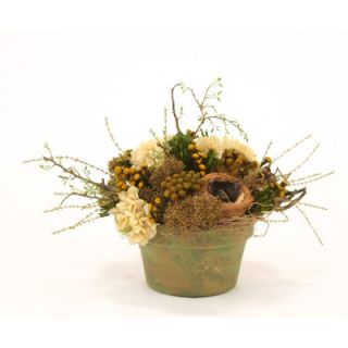 Distinctive Designs Dried Greenery Rustic Birds Nest Mix Wreathed