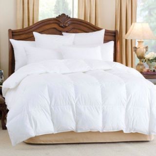 Downright Andesia 650 Winter Goose Down Comforter