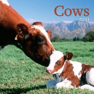 Perfect Timing Avalanche 2013 Cows Wall Calendar (7001528)  Personal Organizers 