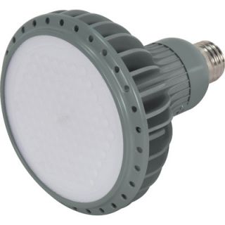 Satco KolourOne LED PAR38 Lamp in Gray