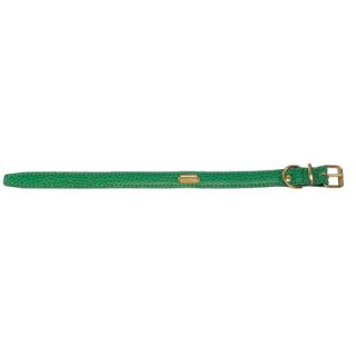 PetEgo Fashion Flat Leather Dog Collar in Green