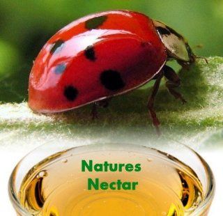 Live Ladybugs   Hirt's Gardens   Approximately 1550  Plus Hirt's Nature NectarTM  Patio, Lawn & Garden