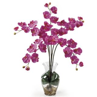 Nearly Natural Liquid Illusion Phalaenopsis Silk Orchid Arrangement in
