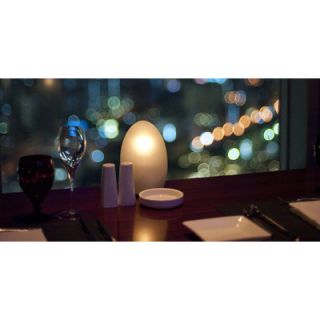 Contempo Lights LuminArt Serenity LED Rechargeable Designer Table Lamp