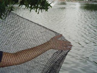 DeWitt Pond Netting, 12 by 20 Feet  Pond Skimming Nets  Patio, Lawn & Garden