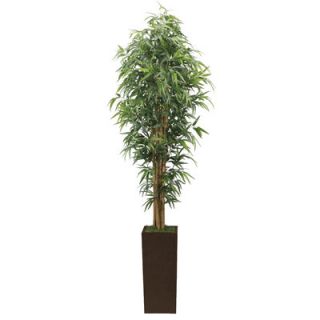 Laura Ashley Home Tall High End Realistic Silk Bamboo Tree in Planter