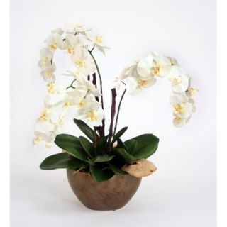 Distinctive Designs Silk Orchid Plant with Bark and Mushrooms in Bowl