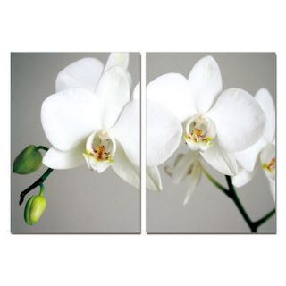 BZB Goods Pure Love White Orchids Modern Wall Art Decoration
