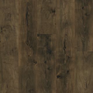 Shaw Floors Natural Values II 6.5mm Pine Laminate in Bridgeport