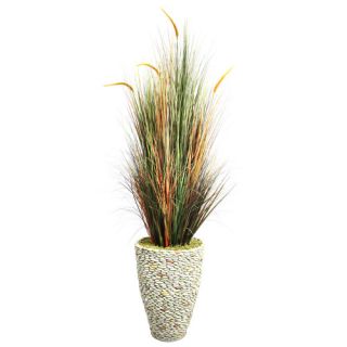 Tall Onion Grass with Cattails in Fiberstone Planter