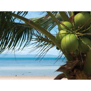 Island Way Outdoor Coconuts Canvas Wall Art