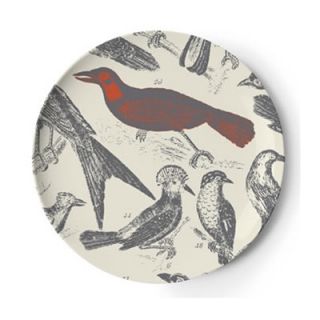 Thomas Paul Ornithology Dinner Plate (Set of 4)