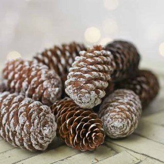 CWI Gifts Snowy Pinecones, 12 Ounce   Arts And Crafts Supplies