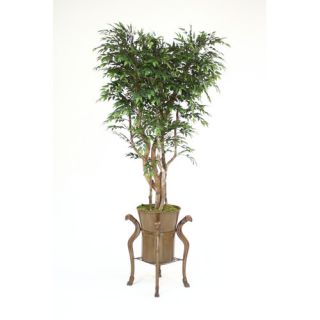 84 Ruscus (Smilax) Tree in Rams Head Planter