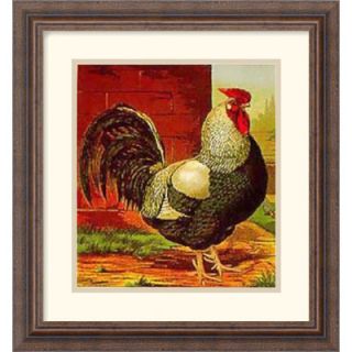 Amanti Art Rose Combed Dorking Cock by J.W. Ludlow Framed Fine Art