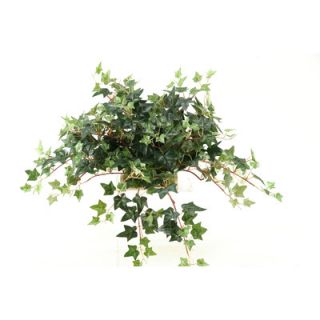 Nearly Natural Ivy Desk Top Plant in Planter