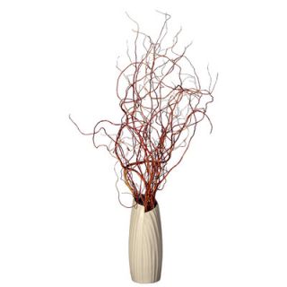 Vickerman Floral Curly Willow in Vase