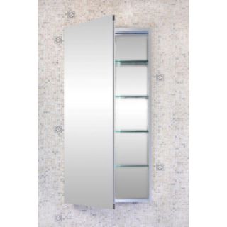 Flawless Bathroom Contemporary 20 x 40 Recessed / Surface Mounted