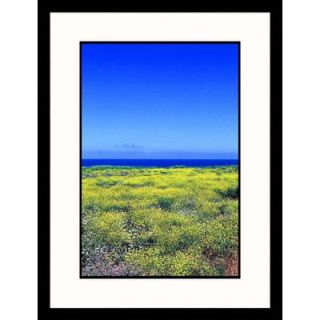 Great American Picture Field of Yellow Flowers Framed Photograph