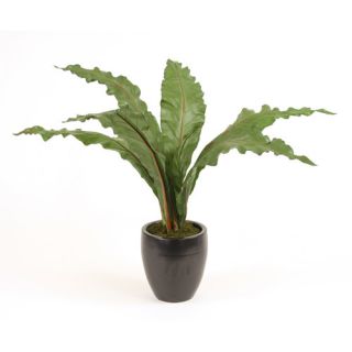 Silk Green Antherium Leaves Floor Plant in Pot
