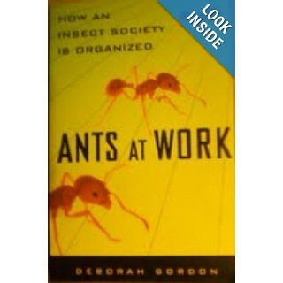 Ants At Work Deborah Gordon 9780965014748 Books