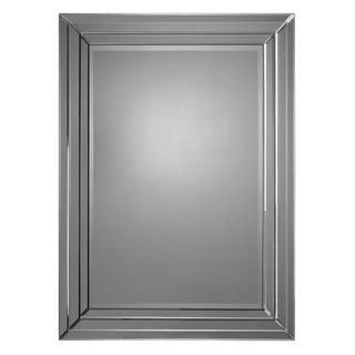 Beveled Frame Rectangular Mirror