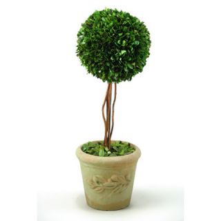 Silks Preserved Boxwood Ball Topiary in Stone Planter